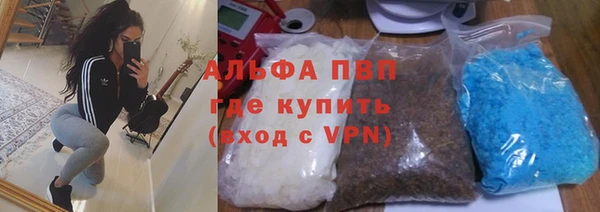 хмурый Осинники