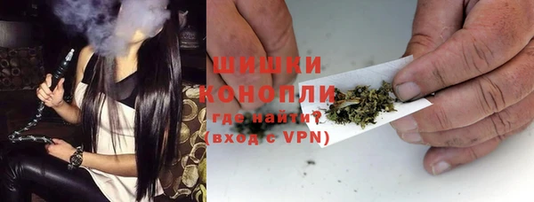 хмурый Осинники