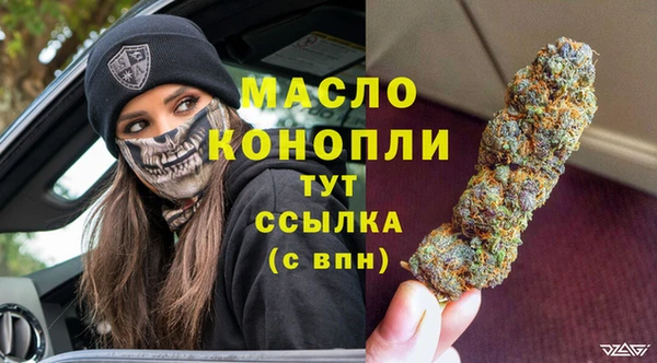 дживик Няндома