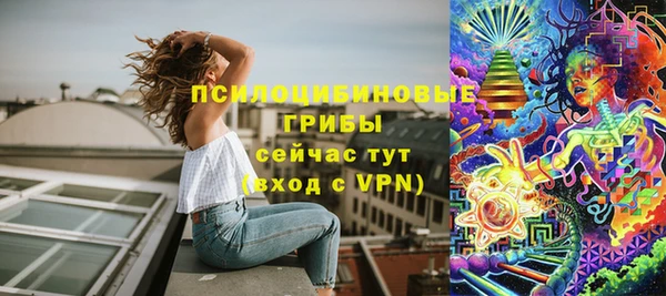 хмурый Осинники