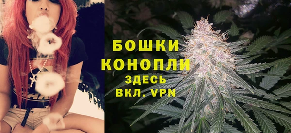 2c-b Осташков