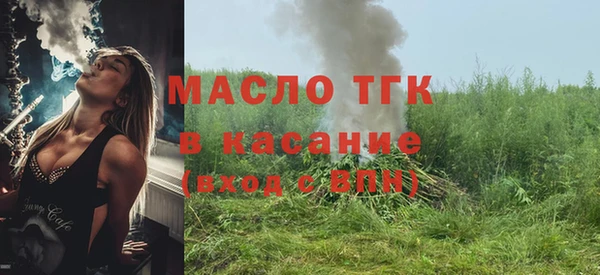 хмурый Осинники
