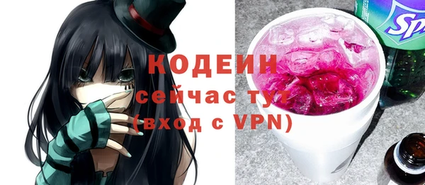 хмурый Осинники