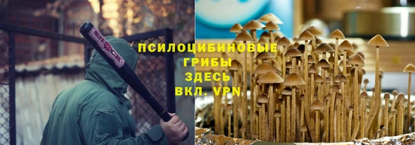 2c-b Осташков